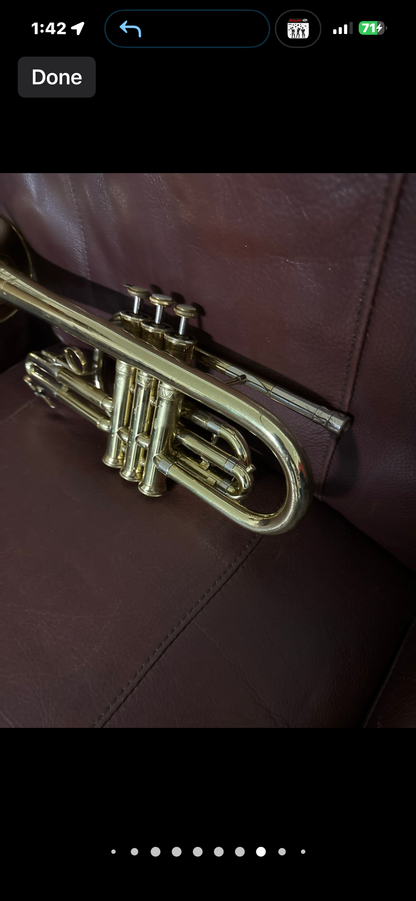 Holton Collegiate Bb cornet SN 424848