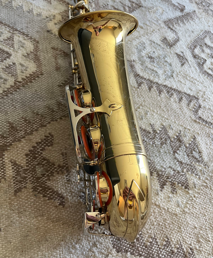 Glory Eb Alto saxophone (with case)