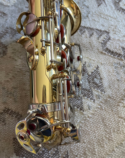 Glory Eb Alto saxophone (with case)