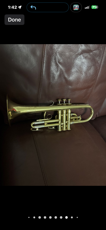 Holton Collegiate Bb cornet SN 424848
