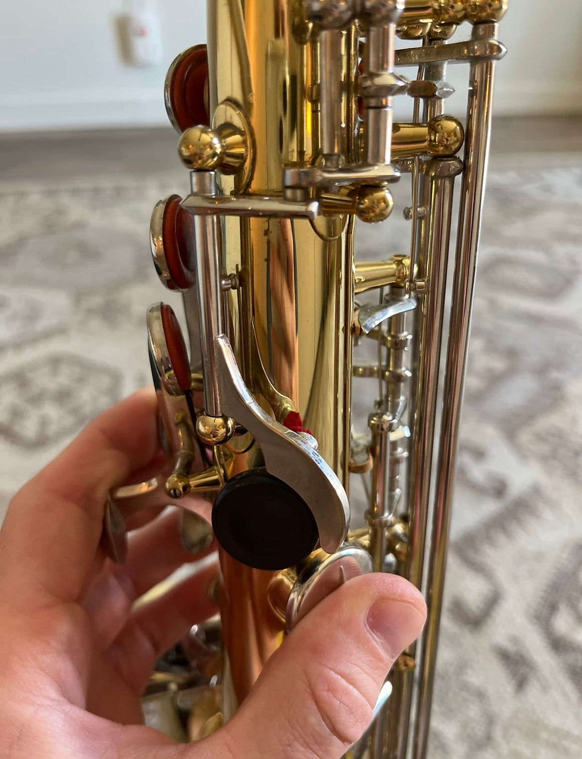 Glory Eb Alto saxophone (with case)