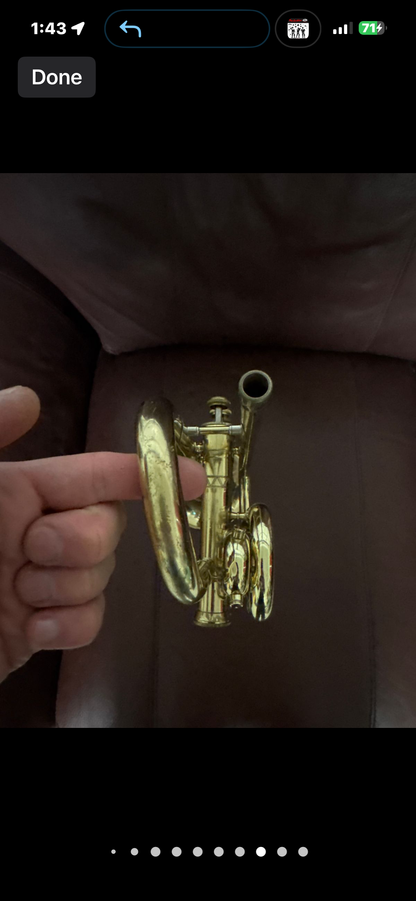 Holton Collegiate Bb cornet SN 424848