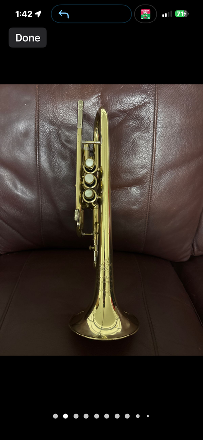 Holton Collegiate Bb cornet SN 424848