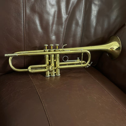 Bach Tr-300 Bb Trumpet SN 974788 ML (student)