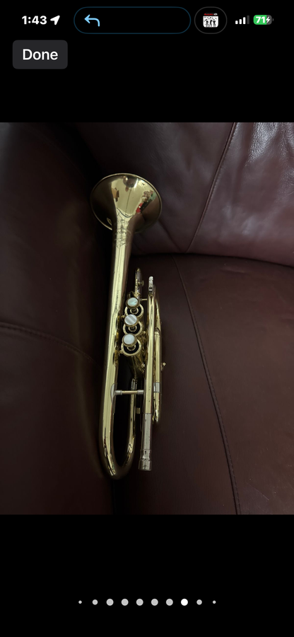 Holton Collegiate Bb cornet SN 424848