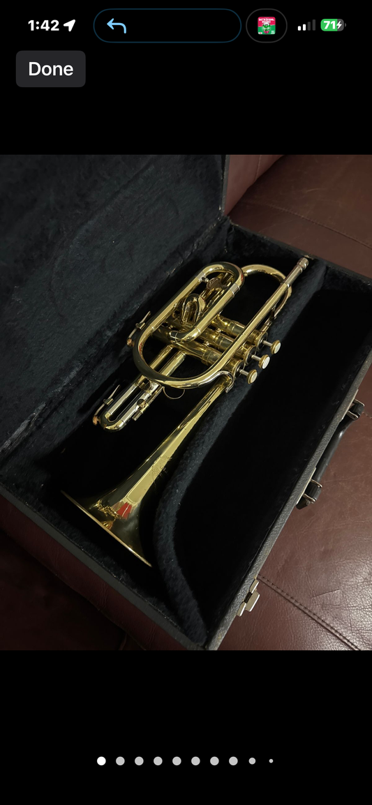 Holton Collegiate Bb cornet SN 424848