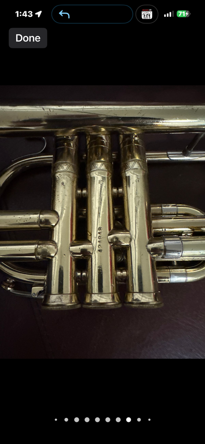 Holton Collegiate Bb cornet SN 424848