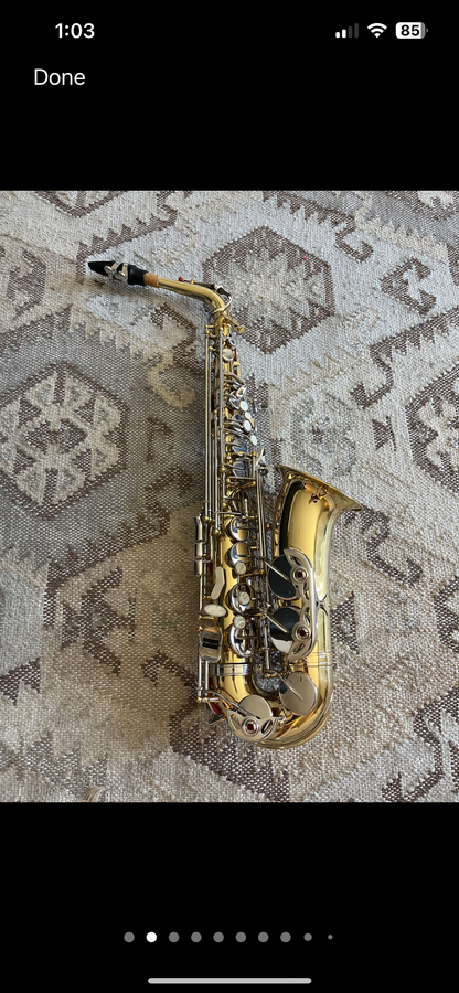 Glory Eb Alto saxophone (with case)