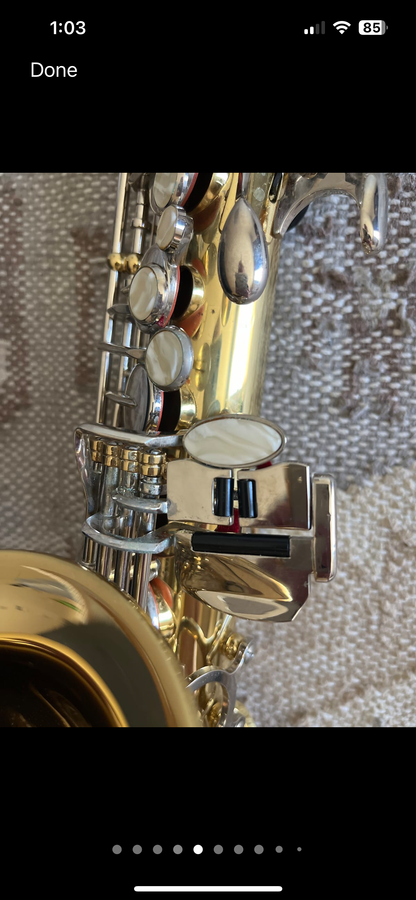 Glory Eb Alto saxophone (with case)