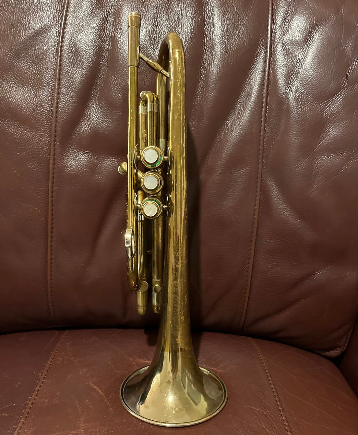 Olds Studio T-5 Bb Cornet SN 57779 (1950)