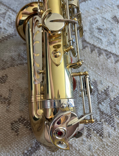 Glory Eb Alto saxophone (with case)